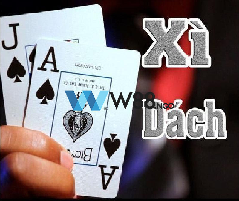 xi-dach-online