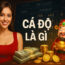 Cá Độ Là Gì